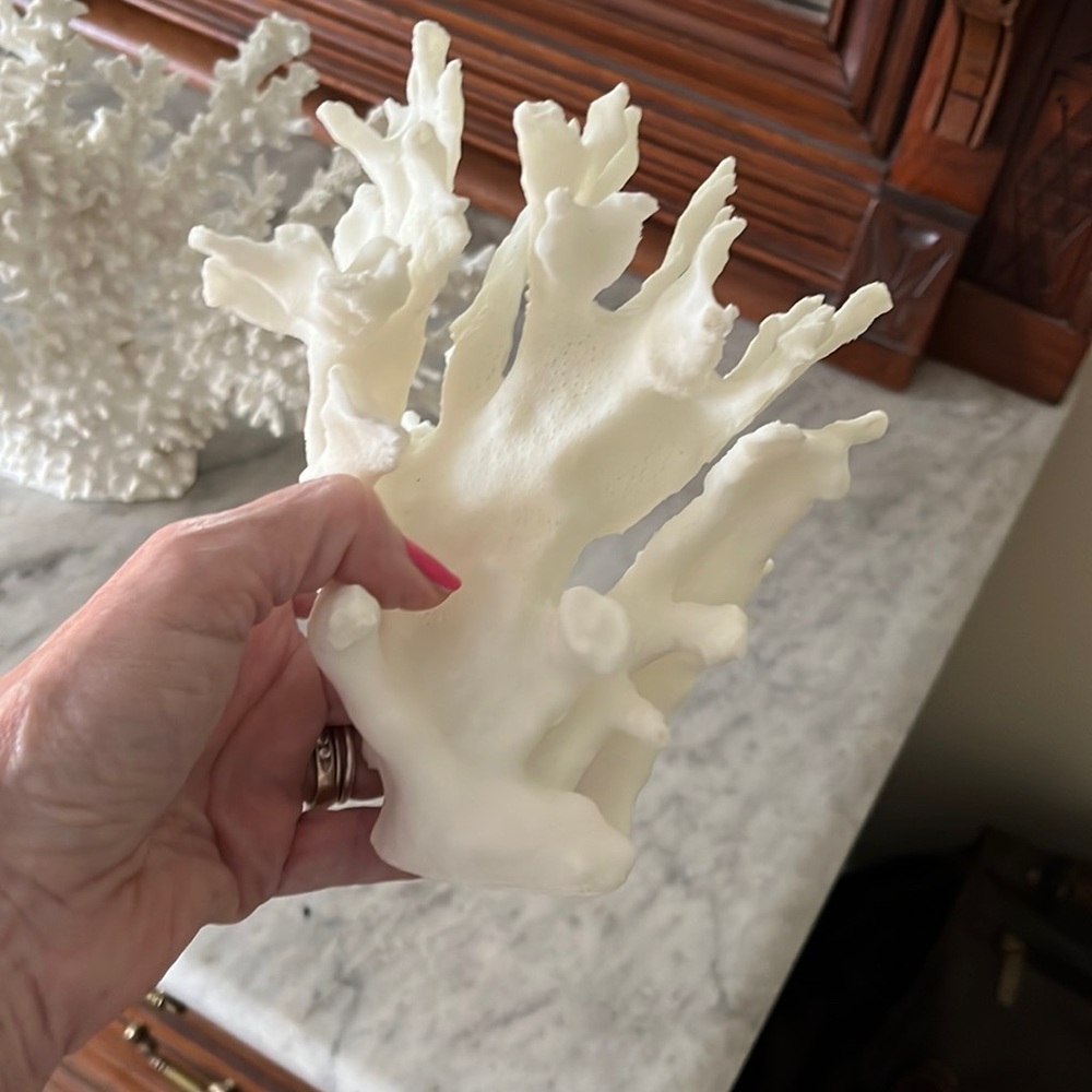 Coral